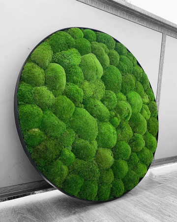 Tablou rotund din muschi bombat - 100cm [1]