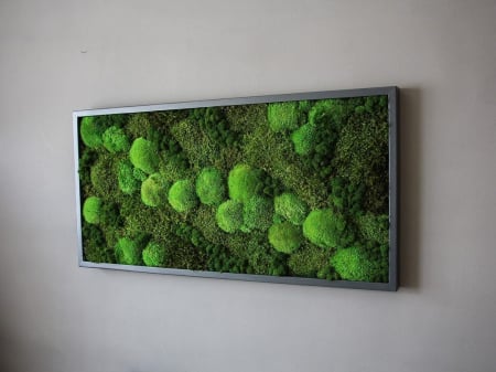 Tablou cu muschi si licheni - 100x50 cm [0]