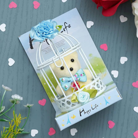 Cadou Happy Life cu usulet in colivie [3]