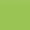 Lac de unghii (oja) Golden Rose Green Last&Care Verde 10,2ml [2]