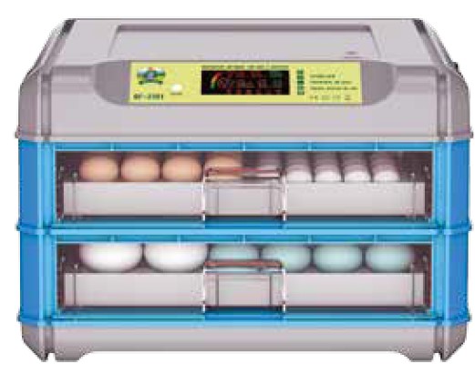 Cum alegi corect ouale pentru incubare?