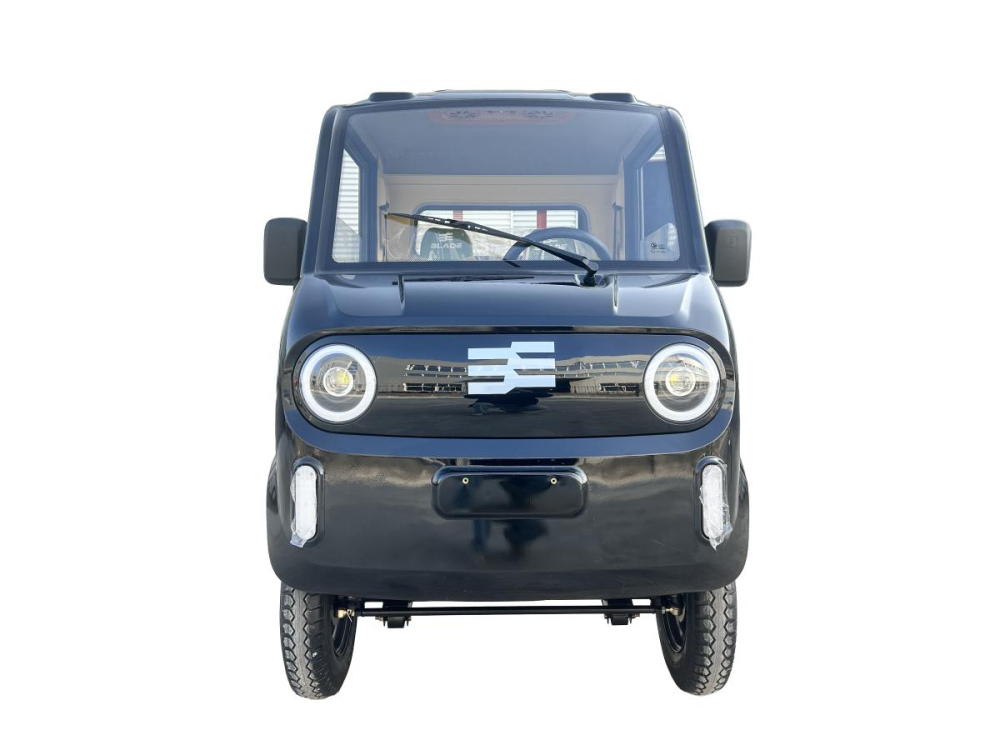 Pickup electric cargo Blade CARGO PRO 12, 3000W, 800 kg, negru-portocaliu [3]