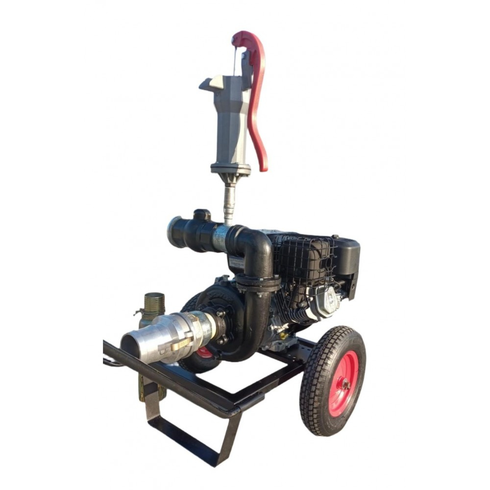Motopompa de presiune pe benzina DWP 420 BS3 cu motor BRIGGS & STRATTON [2]