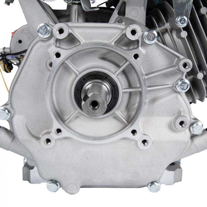 Motor pe benzina Micul Fermier 13HP [6]
