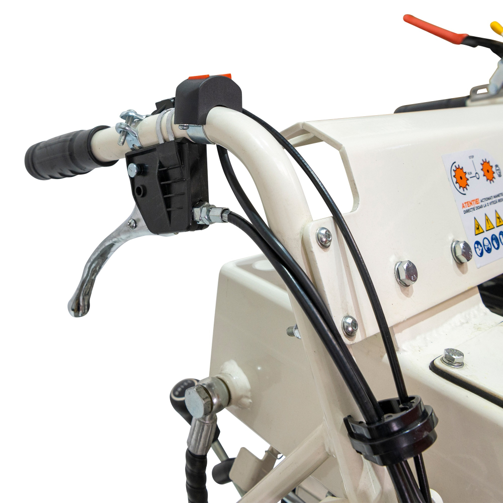 Roaba Autopropulsata RURIS RTS 7000 Hidraulic 9 CP, 500kg, senile, basculare hidraulica [14]