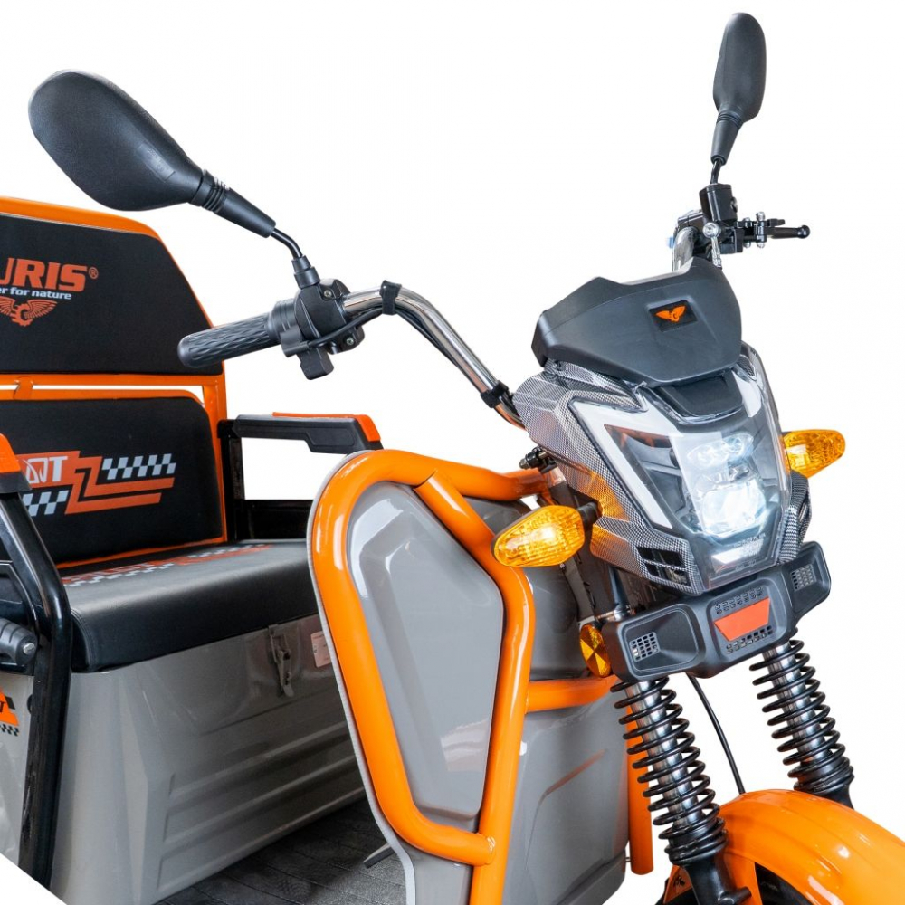 Triciclu electric cargo RURIS Pilot 3110G GRI fara permis, 2000W, viteza 25 km/h, autonomie 80 km [12]