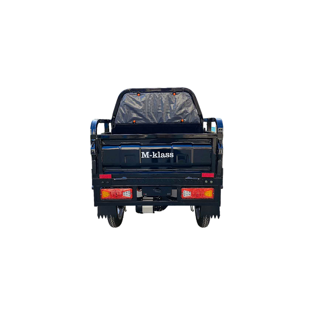 Triciclu electric RDB M-Klass fara permis, 1000W, 25 km/h [4]