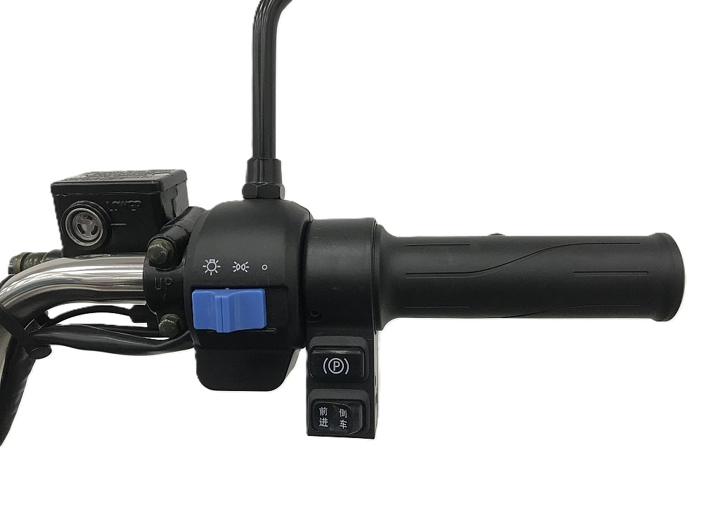 Triciclu electric RDB XL-Klass4 fara permis, 4000W, 25 km/h [8]