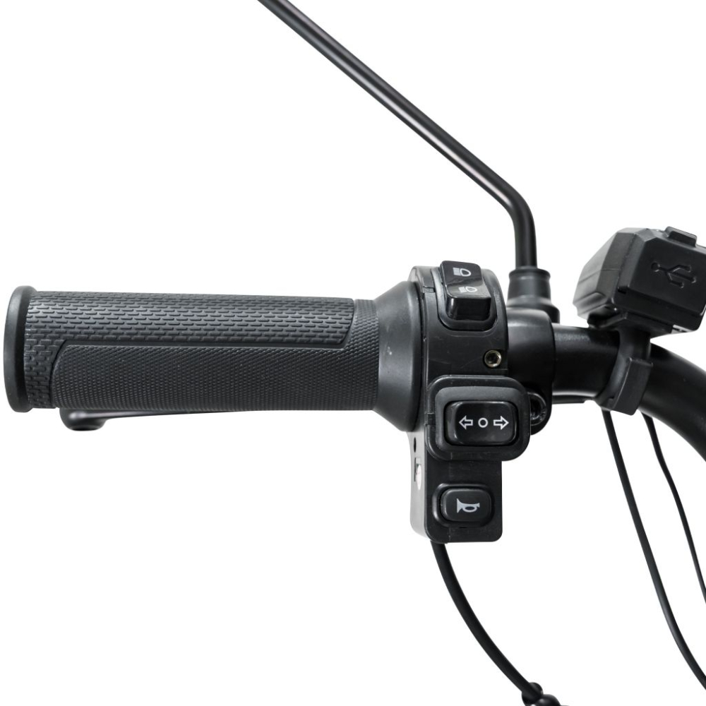 Triciclu electric RURIS Pilot 3010G Gri, 1600W, 2 locuri, autonomie pana la 50 km [14]