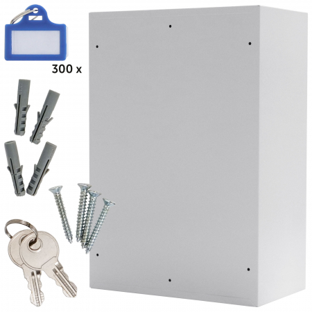 Dulap pentru Chei Rottner S 300 Închidere Electronică Gri Deschis [4]