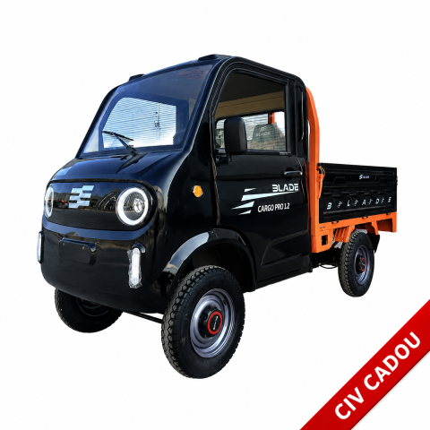 Vehicule de Lucru si Transport - Pickup electric cargo Blade CARGO PRO 12, 3000W, 800 kg, negru-portocaliu