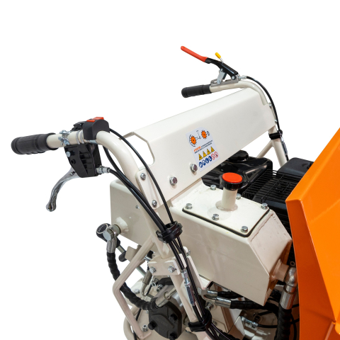 Roaba Autopropulsata RURIS RTS 7000 Hidraulic 9 CP, 500kg, senile, basculare hidraulica [14]