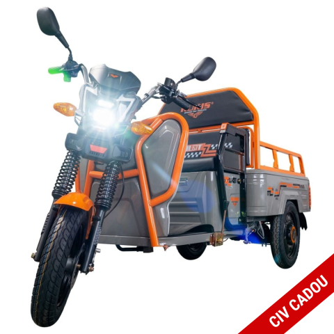 Vehicule de Lucru si Transport - Triciclu electric cargo RURIS Pilot 3110G GRI fara permis, 2000W, viteza 25 km/h, autonomie 80 km