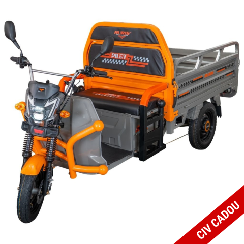Vehicule de Lucru si Transport - Triciclu electric cargo RURIS Pilot 3120G GRI 2000W, autonomie pana la 70 km, bena basculabila, reductor forta, CIV inclus