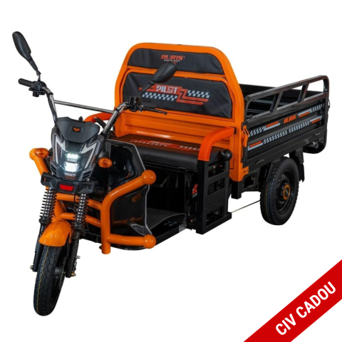 Vehicule de Lucru si Transport - Triciclu electric cargo RURIS Pilot 3120N Negru, 2000W, autonomie pana la 70 km, bena basculabila, reductor forta, CIV inclus