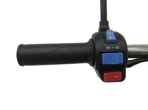 Triciclu electric RDB XL-Klass4 fara permis, 4000W, 25 km/h [9]