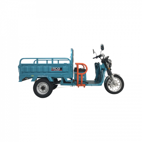 Triciclu electric RDB XL-Klass4 fara permis, 4000W, 25 km/h [2]