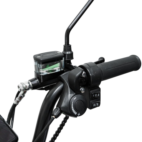 Triciclu electric RURIS Pilot 3010G Gri, 1600W, 2 locuri, autonomie pana la 50 km [12]