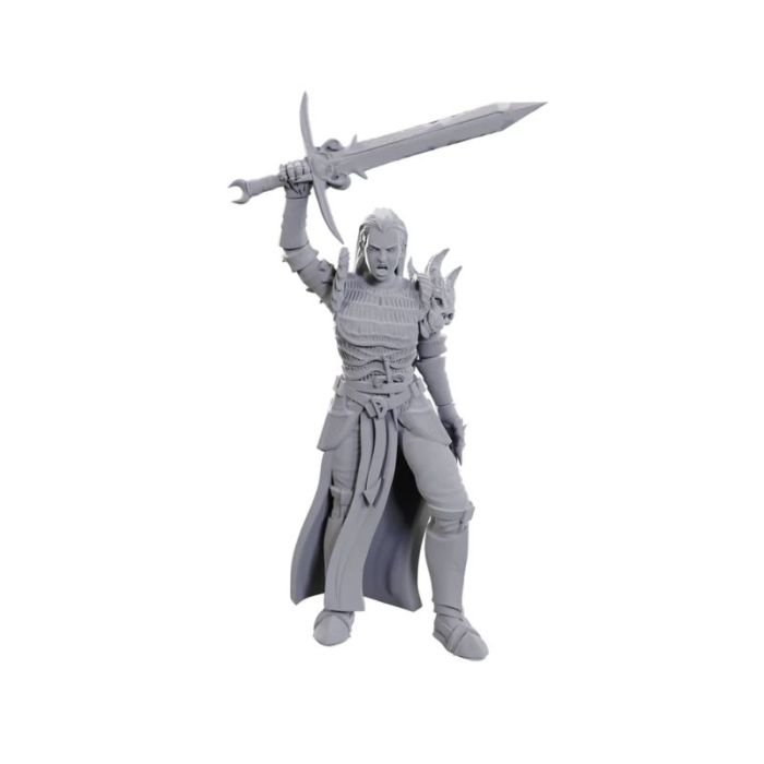 Blackguard - D&D Nolzur's Marvelous Miniatures [1]