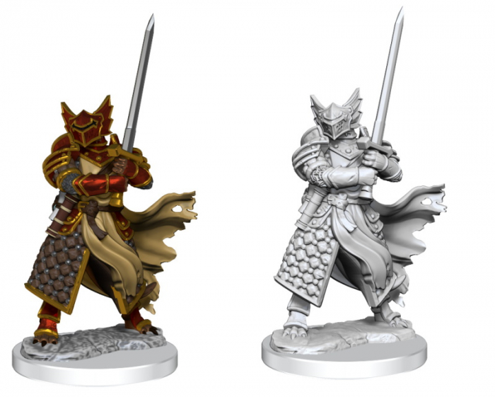 D&D Frameworks Miniature: Dragonborn Paladin Male [2]