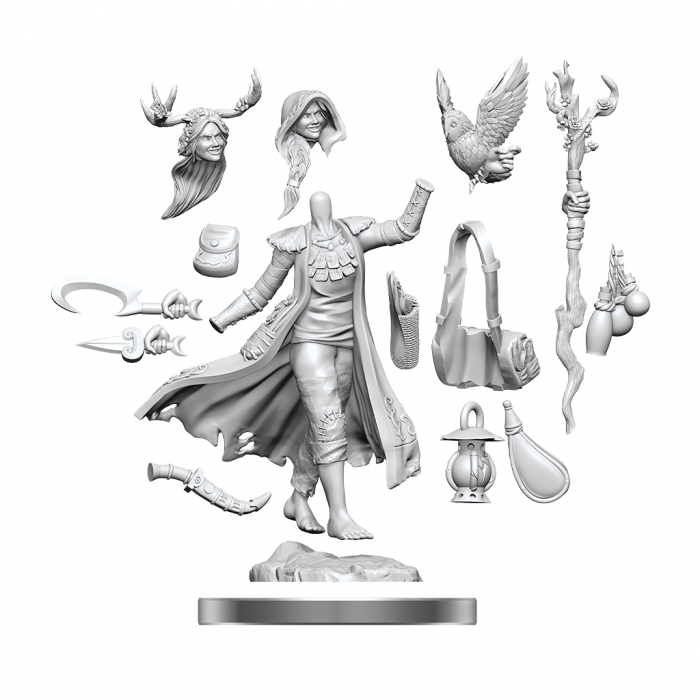 D&D Frameworks Miniature: Human Druid Female [2]