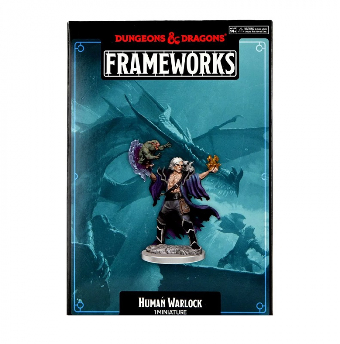 D&D Frameworks Miniature: Human Warlock Male [3]