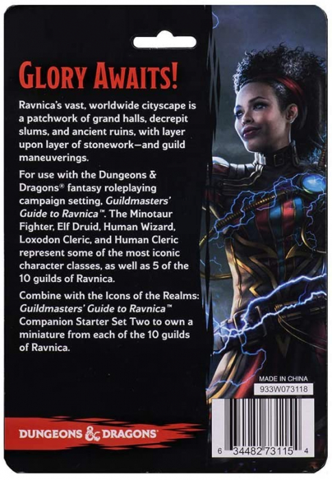 D&D Icons of the Realms: Set 10 Companion Starter One - EN [2]