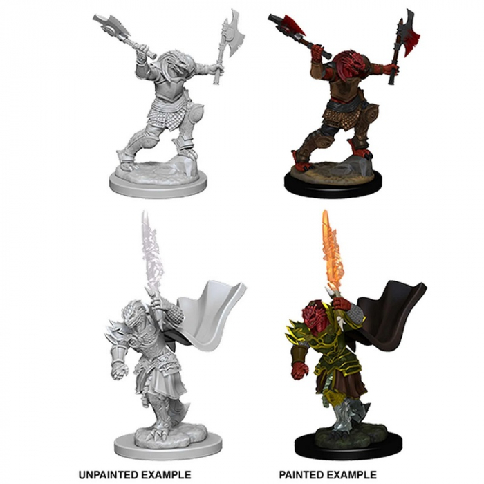 D&D Nolzur's Marvelous Unpainted Miniatures: Dragonborn Female Fighter (W4) [2]