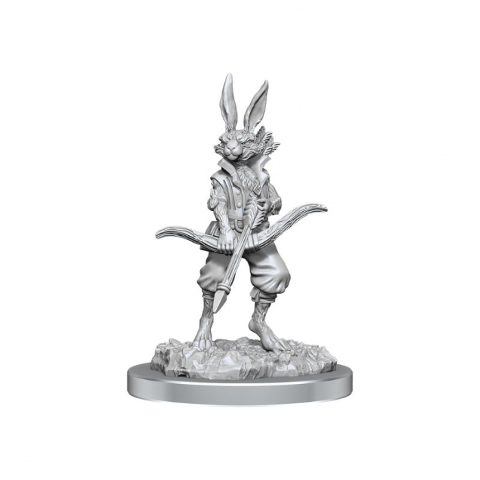 D&D Nolzur's Marvelous Miniatures: Paint Kit - Harengon - EN [2]