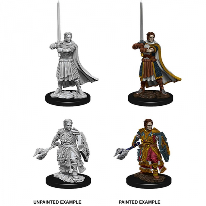 D&D Nolzur's Marvelous Unpainted Miniatures: Male Human Cleric (W8) [2]
