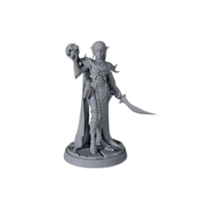 D20 Heroes Miniatures Set - Blood And Magic [6]