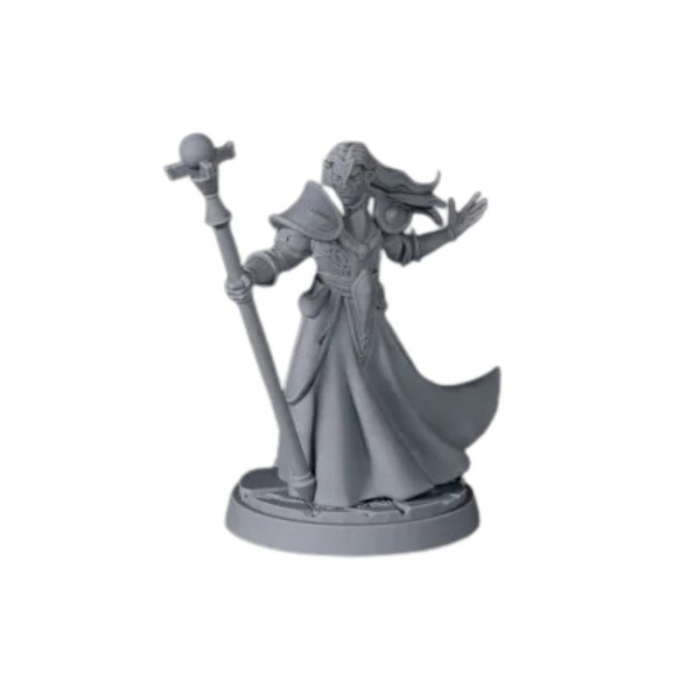 D20 Heroes Miniatures Set - Blood And Magic [2]