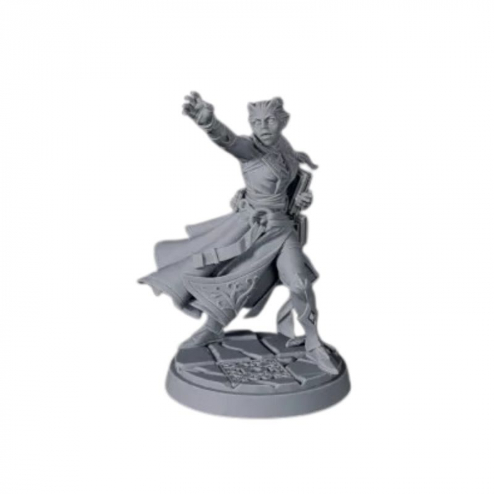 D20 Heroes Miniatures Set - Blood And Magic [5]