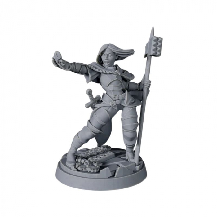 D20 Heroes Miniatures Set - Protectors Of The Faith [2]