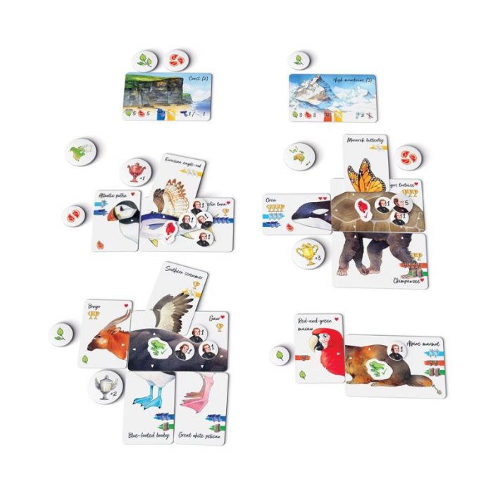 Darwin's Choice - EN [4]