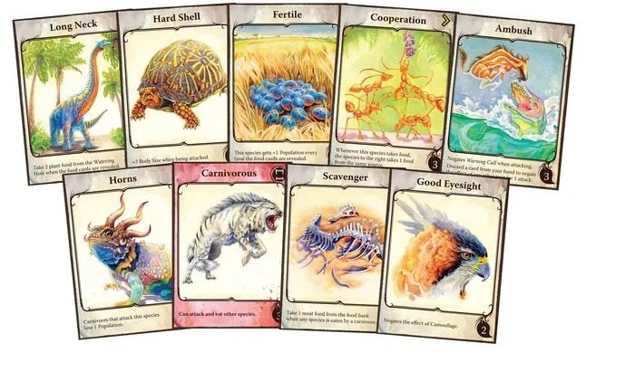 Evolution - EN [5]
