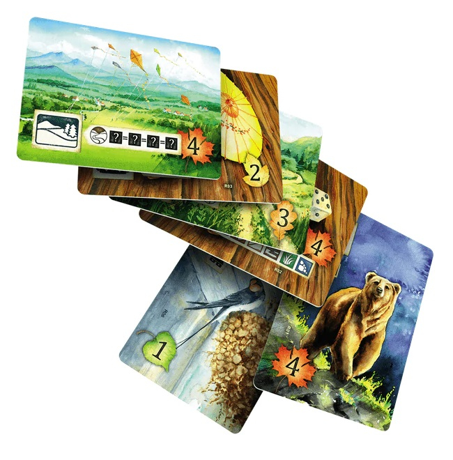 Meadow – Cards & Sleeves Pack (Extensie) - EN/PL [2]
