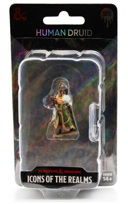 Female Human Druid - D&D Icons of the Realms Premium Figures (W7) [2]