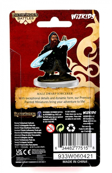 Male Dwarf Sorcerer - Pathfinder Painted Premium [4]