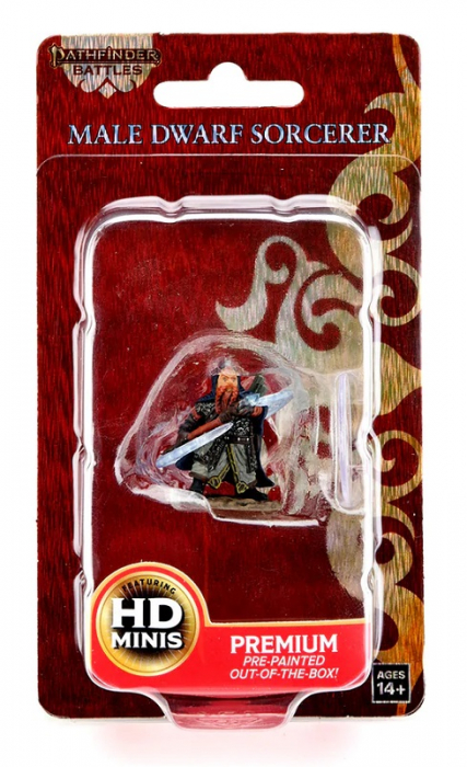 Male Dwarf Sorcerer - Pathfinder Painted Premium [3]
