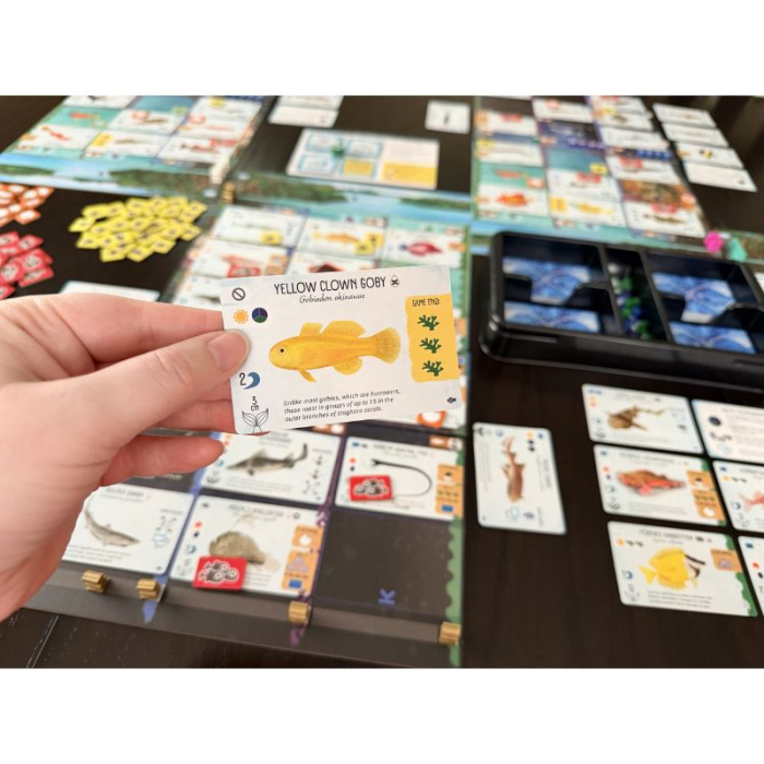 Finspan: Sharks & Reefs (Extensie) - EN [4]