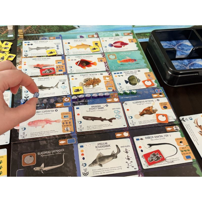 Finspan: Sharks & Reefs (Extensie) - EN [3]