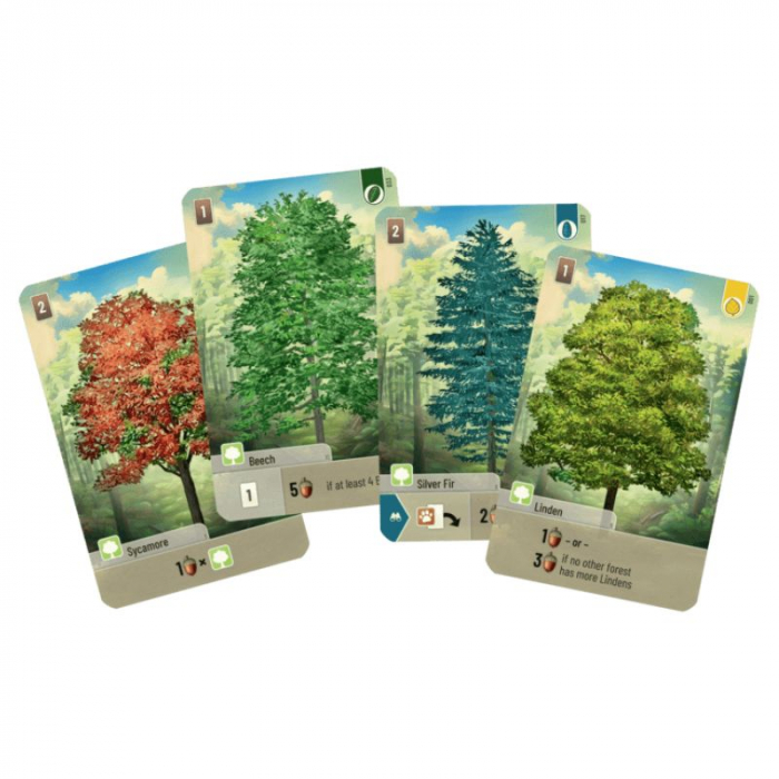 Forest Shuffle - EN [4]