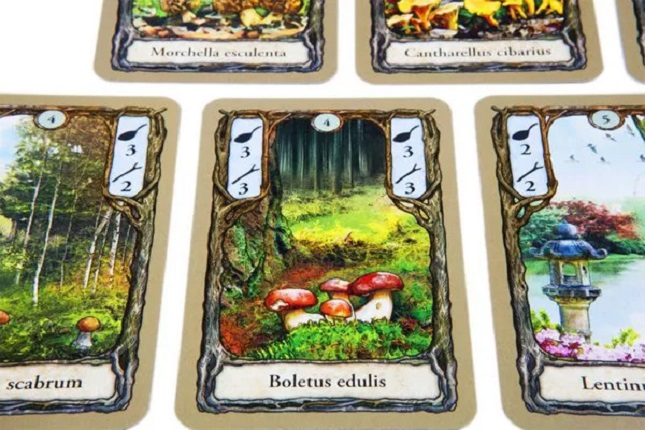 Fungi - EN/DE [5]
