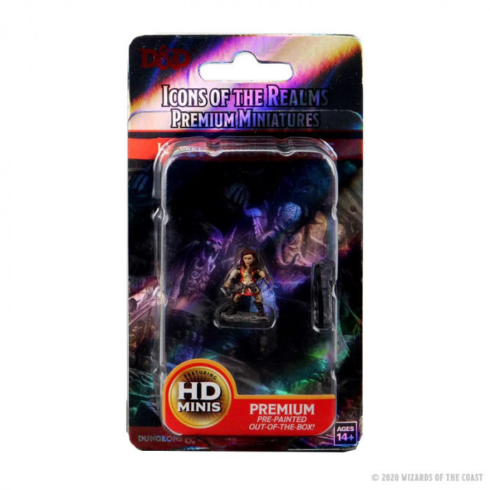 Halfling Female Rogue - D&D Icons of the Realms Premium Figures (W3) [2]