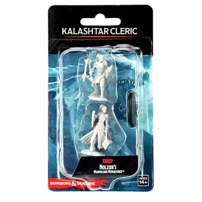Kalashtar Cleric Female - D&D Nolzur's Marvelous Miniatures [3]