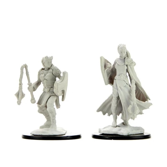 Kalashtar Cleric Female - D&D Nolzur's Marvelous Miniatures [1]