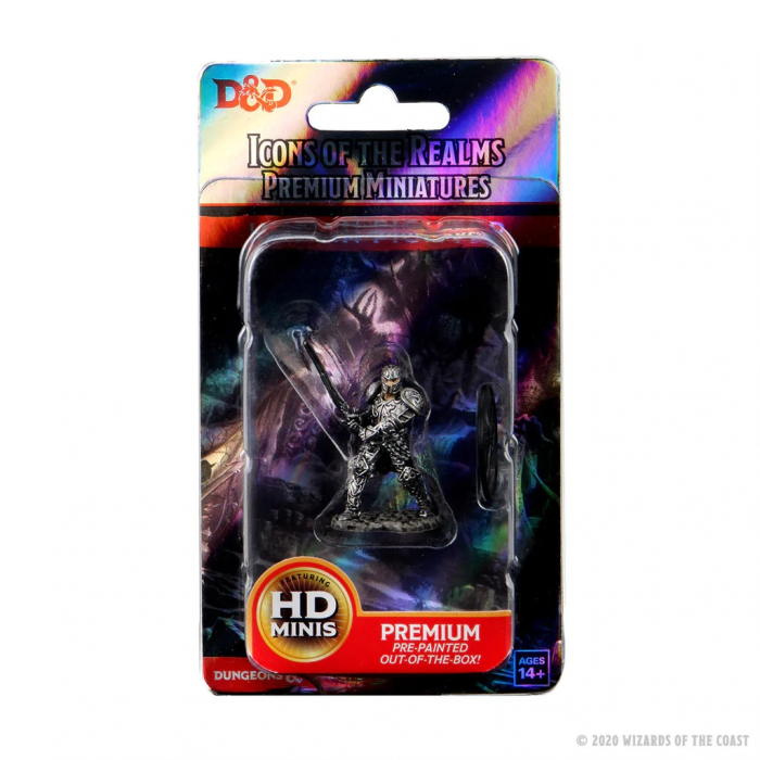Male Human Fighter - D&D Icons of the Realms Premium Figures (W3) [3]