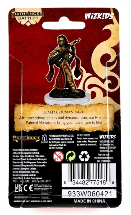Female Human Bard: Pathfinder Painted Premium [4]