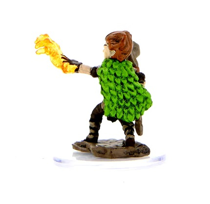 Male Gnome Druid: Pathfinder Painted Premium [2]